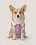 Load and play video in Gallery viewer, Small Dog Jackets
