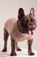 Load and play video in Gallery viewer, Heritage Buttercream Cable Knit - Baby Alpaca Dog Sweater
