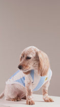 Load and play video in Gallery viewer, Cielo Argentina Jersey — Matching Dog & Owner Outfit
