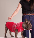 Load and play video in Gallery viewer, Holiday Embrace Alpaca - Festive Baby Alpaca Dog Sweater
