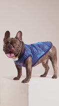 Load and play video in Gallery viewer, France Matching Dog & Owner Outfit 
