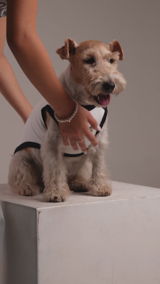 Germany Matching Dog & Owner Outfit 