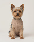 Load and play video in Gallery viewer, Heritage Buttercream Cable Knit - Baby Alpaca Dog Sweater
