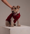 Load and play video in Gallery viewer, Cherry Kiss Knit - Baby Alpaca Dog Sweater
