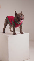 Load and play video in Gallery viewer, Saudade - Portugal Dog Jersey
