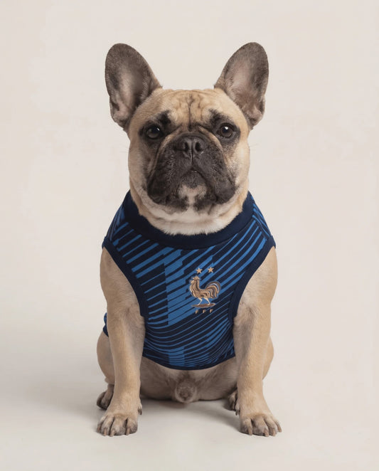 Élan France Dog Jersey