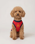Load and play video in Gallery viewer, Sol Spain Dog Jersey
