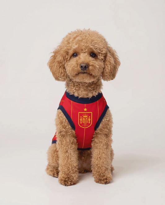 Sol Spain Dog Jersey