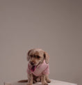 Load and play video in Gallery viewer, (Pink)
