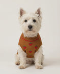 Load and play video in Gallery viewer, Strawberry Kiss Knit -  Soft Baby Alpaca Sweater for Small Dog
