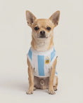 Load and play video in Gallery viewer, Cielo - Argentina Dog  Jersey
