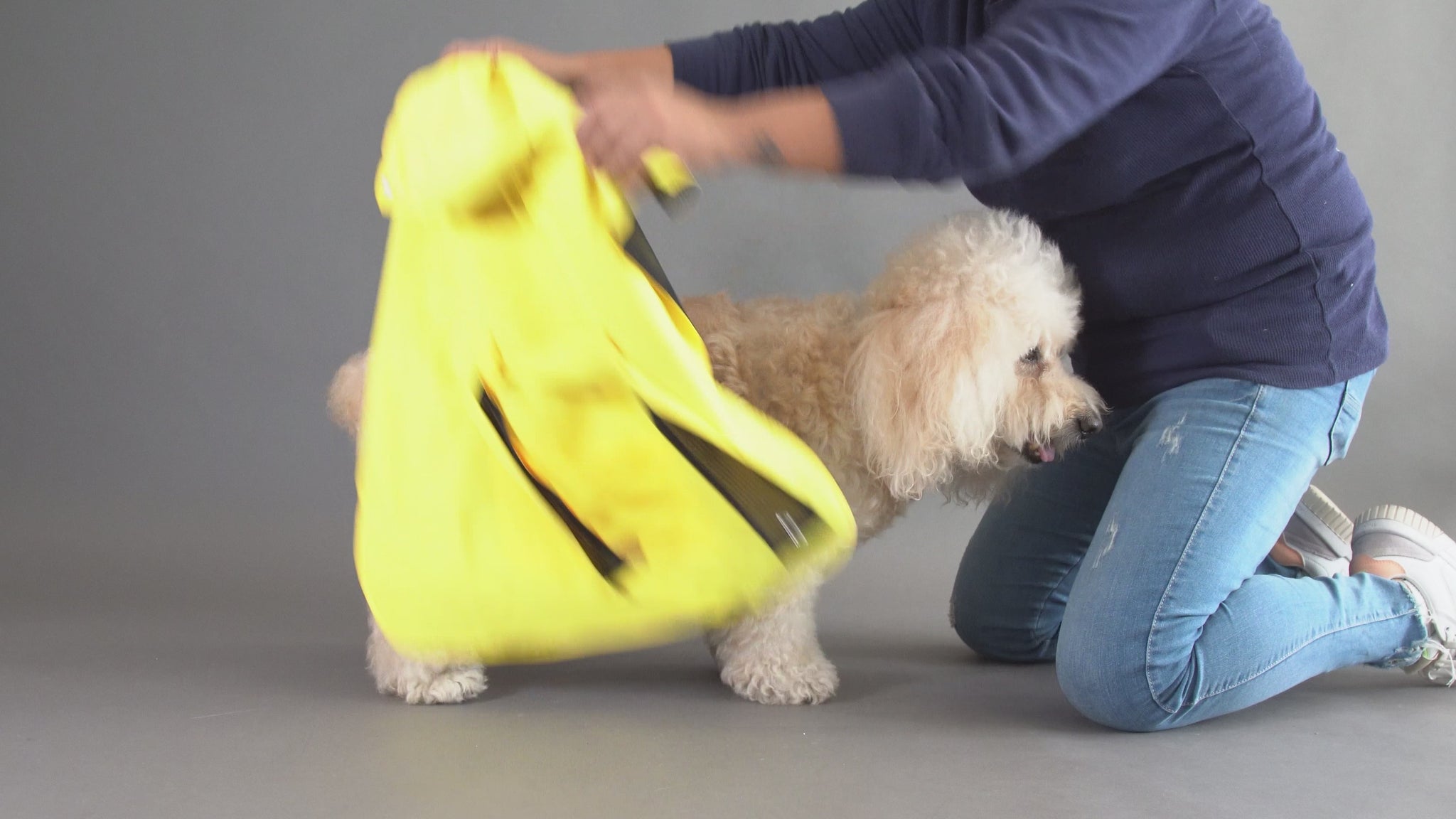 Mascotas - Step-by-step tutorial showing how to dress a dog comfortably