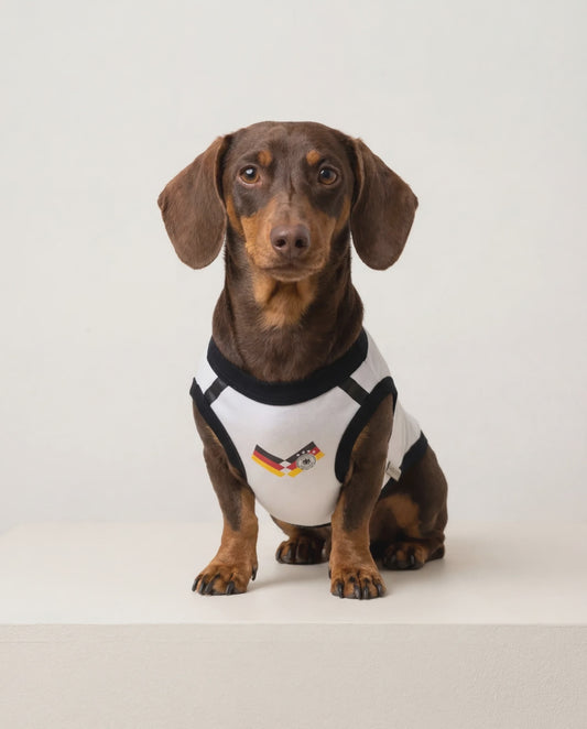 Heimat - Germany Dog Jersey