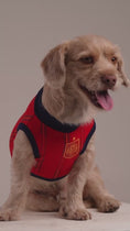 Load and play video in Gallery viewer, Spain Dog and Owner Matching Outfit 
