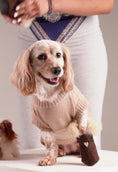 Load and play video in Gallery viewer, Suede Dog Boots
