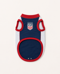 Load image into Gallery viewer, USA: Glory
