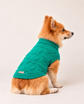 Load image into Gallery viewer, Green Butterfly Monogram Knit - Baby Alpaca Dog Sweater
