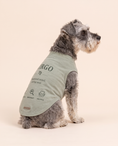 Load image into Gallery viewer, Virgo Zodiac Pima Cotton Dog Shirt
