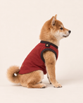 Load image into Gallery viewer, Crimson Acrobat Superhero Dog Halloween Costume

