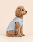 Load image into Gallery viewer, Cancer Zodiac Pima Cotton Dog Shirt
