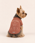 Load image into Gallery viewer, Sagittarius Zodiac Pima Cotton Dog Shirt
