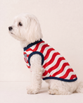 Load image into Gallery viewer, USA: Valor
