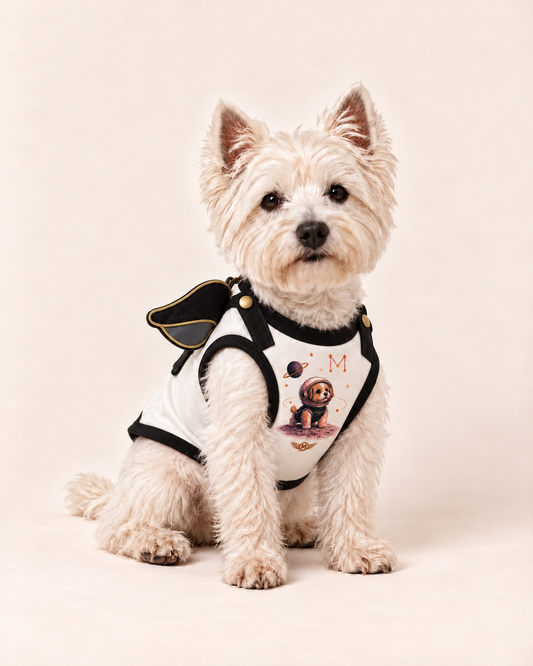 Cosmic Commander Space Hero Dog Costume
