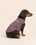 Load image into Gallery viewer, Scorpio Zodiac Pima Cotton Dog Shirt
