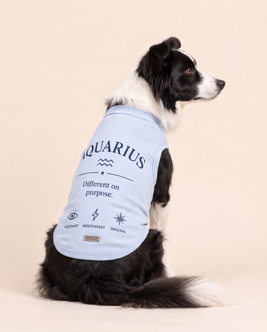 Aquarius Zodiac Pima Cotton Dog Shirt