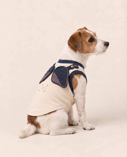Cosmic Commander Space Hero Dog Costume