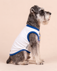Load image into Gallery viewer, Frosted Pup Dream Tee | Blue Princess Dog Shirt
