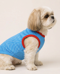 Load image into Gallery viewer, DR Congo Dog Jersey: Motema

