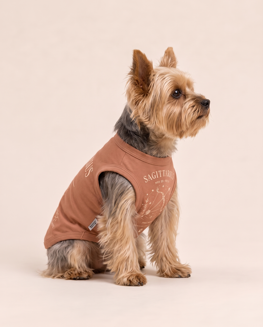 Sagittarius Zodiac Pima Cotton Dog Shirt