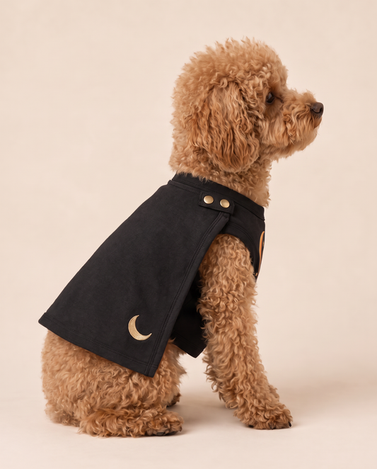 Midnight Guardian Superhero Dog Costume with Cape