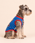 Load image into Gallery viewer, Super Pup Hero Tee | Blue Superhero Dog Shirt
