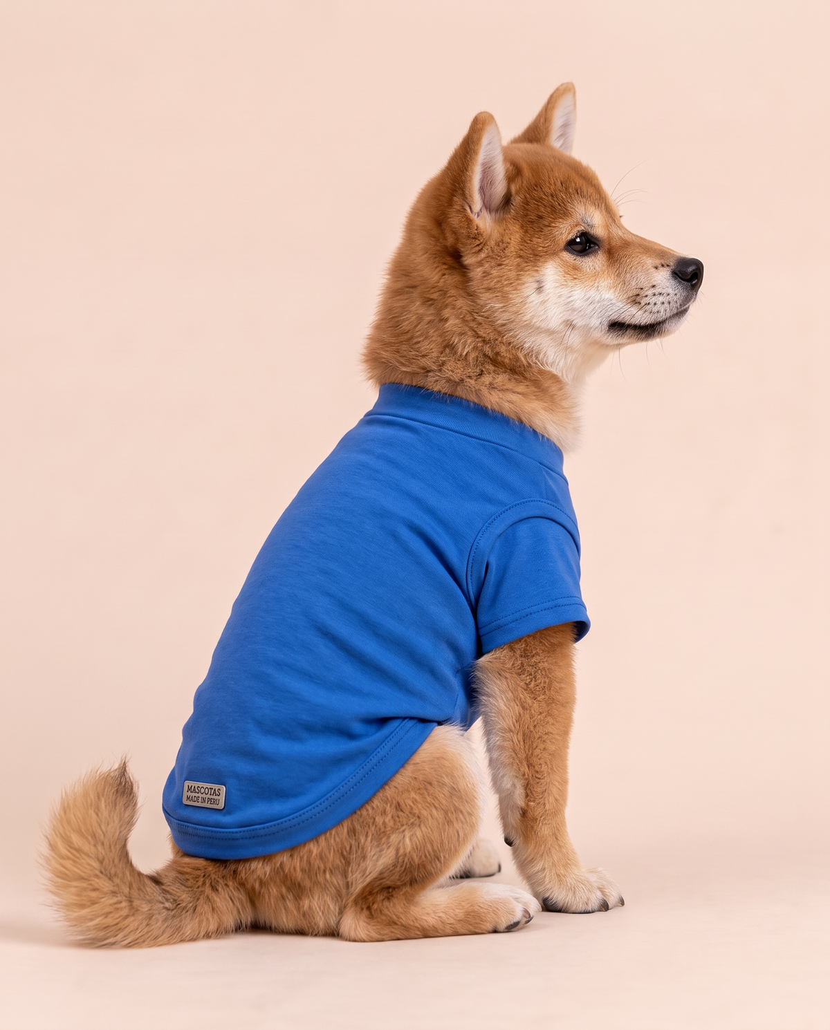 Happy Hound Adventure Tee | Blue Character Dog Shirt
