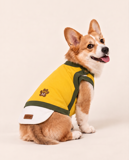 Golden Sidekick Superhero Dog Costume with Cape