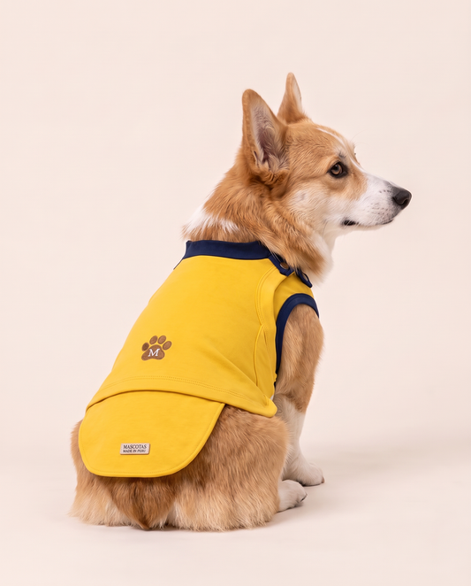 Lightning Runner Superhero Dog Halloween Costume