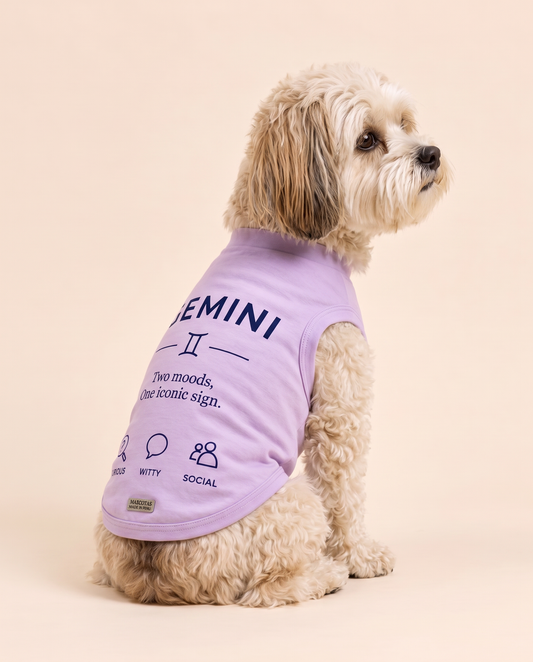 Gemini Zodiac Pima Cotton Dog Shirt