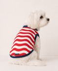 Load image into Gallery viewer, USA: Valor

