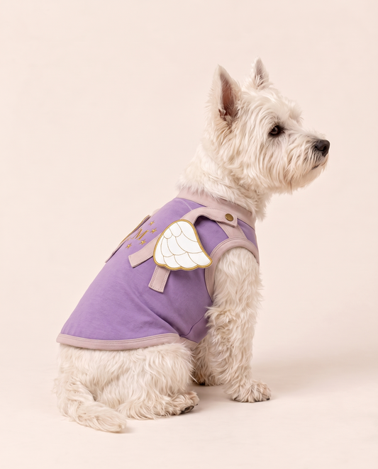 Moonlight Mystic Winged Dog Halloween Costume