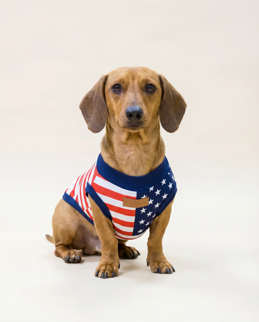 Dog wearing a red, white, and blue American flag harness - Front view of USA support team t-shirt for dog